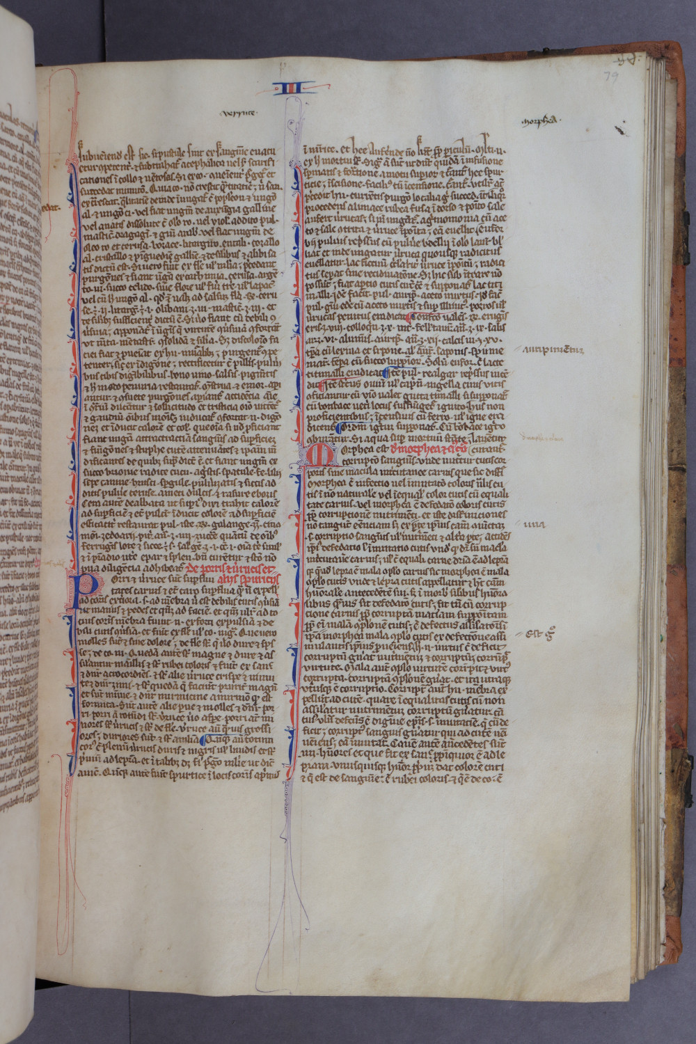 Folio 79 recto